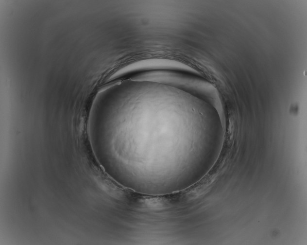 X0000091590417200708201234