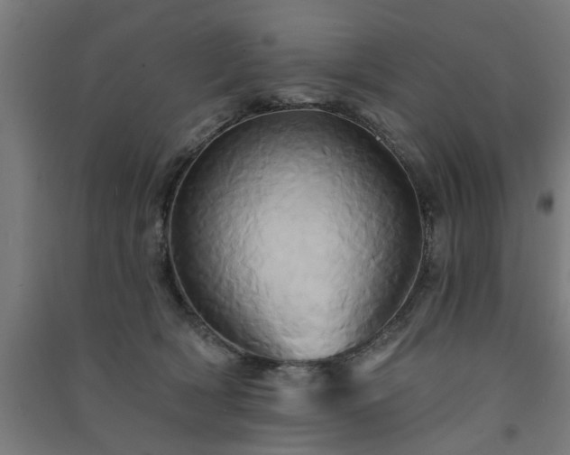 X0000091590418200708201234