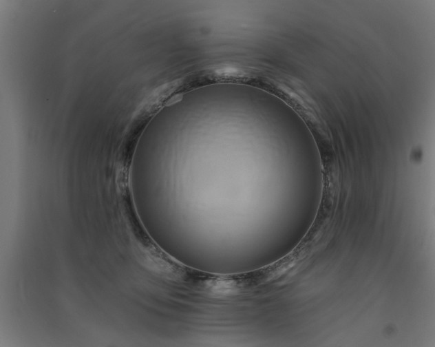 X0000091590419200708201234