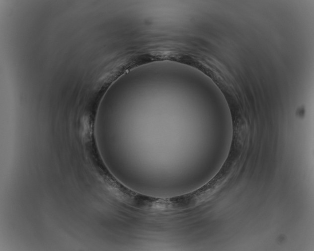 X0000091590420200708201234