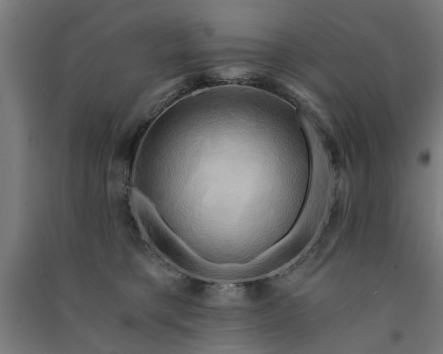 X0000091590421200708201234