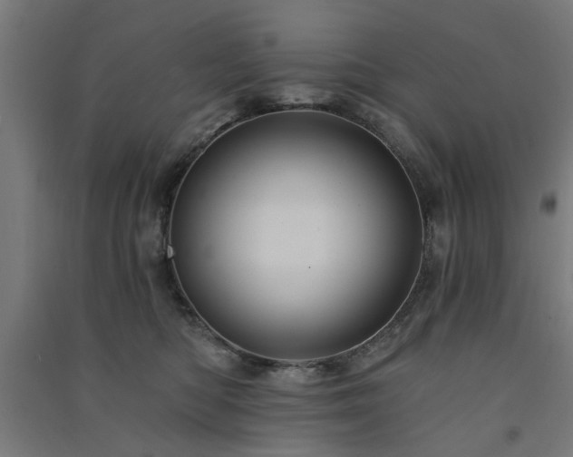 X0000091590422200708201234