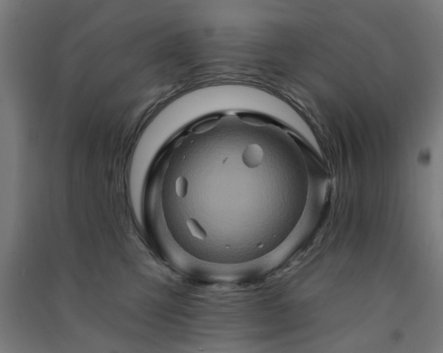 X0000091590423200708201234
