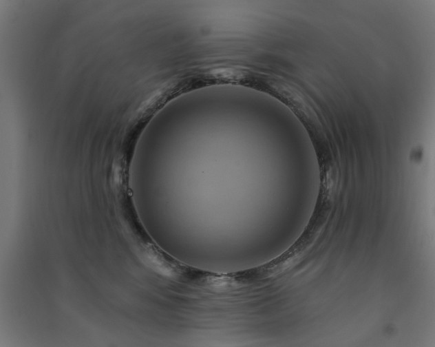 X0000091590424200708201234