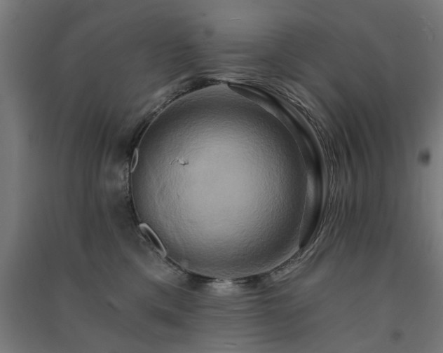 X0000091590425200708201234