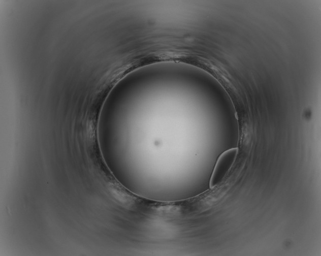 X0000091590426200708201234