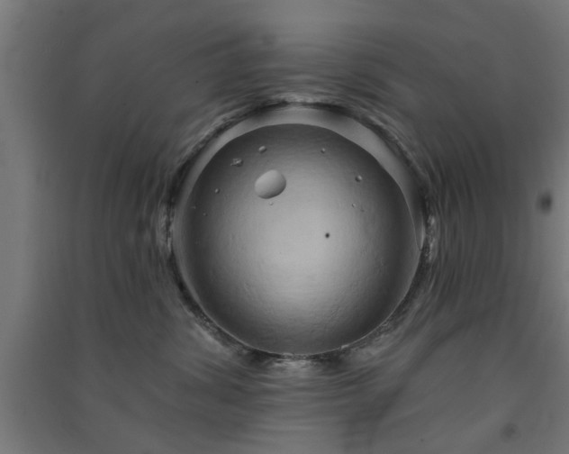 X0000091590428200708201234