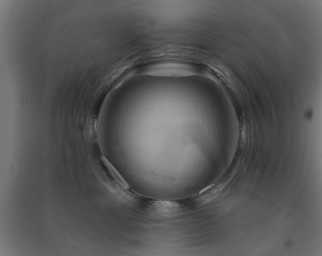 X0000091590429200708201234