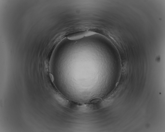 X0000091590430200708201234