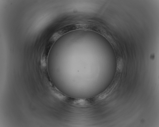 X0000091590431200708201234