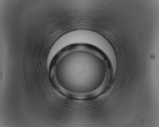 X0000091590432200708201234
