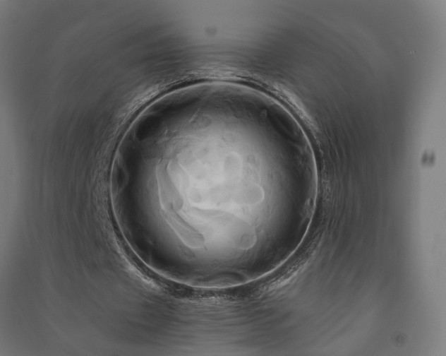 X0000091590433200708201233