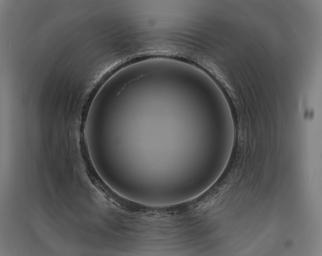 X0000091590434200708201233