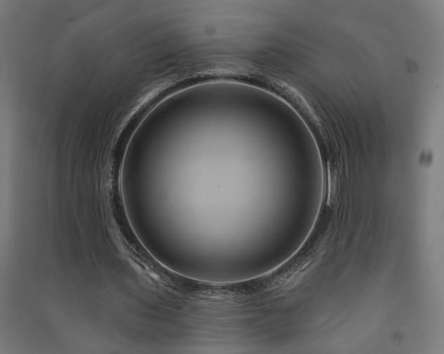 X0000091590435200708201233