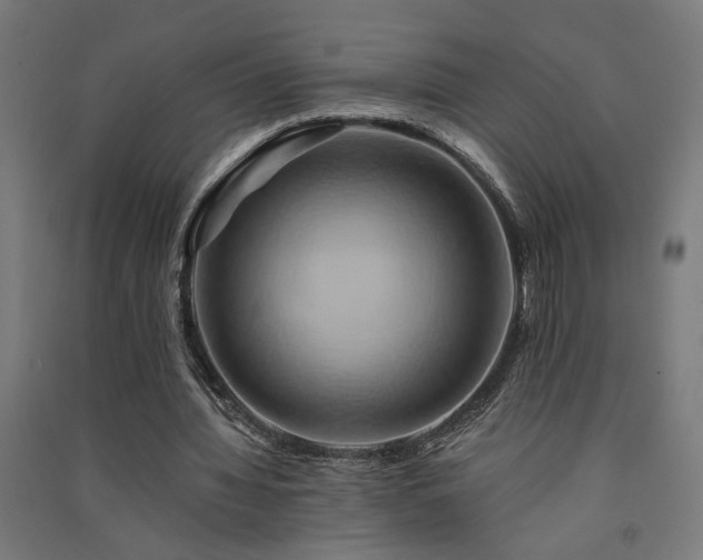 X0000091590436200708201233