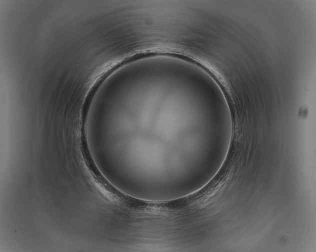 X0000091590437200708201233