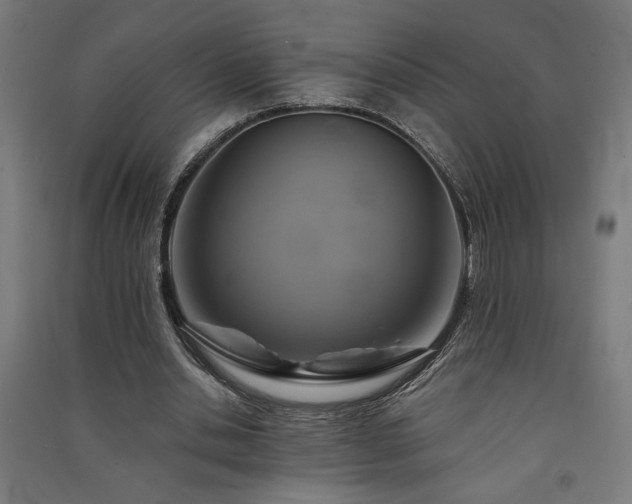 X0000091590438200708201233