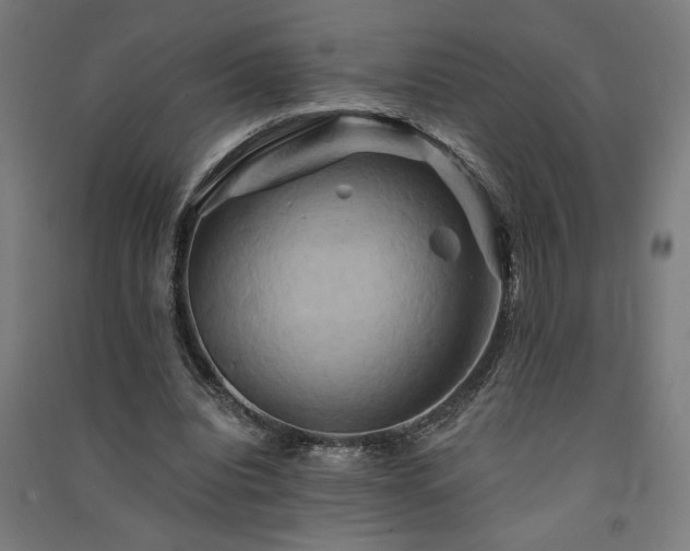 X0000091590440200708201233