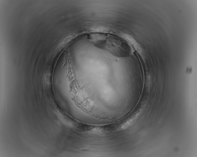X0000091590441200708201233