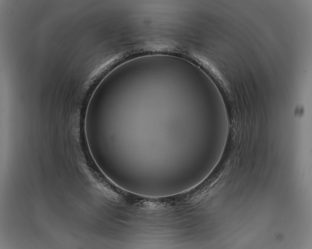 X0000091590442200708201233