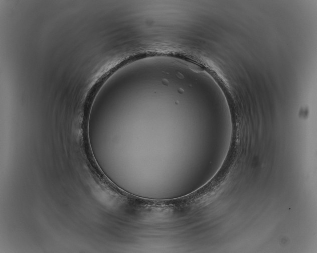 X0000091590443200708201233