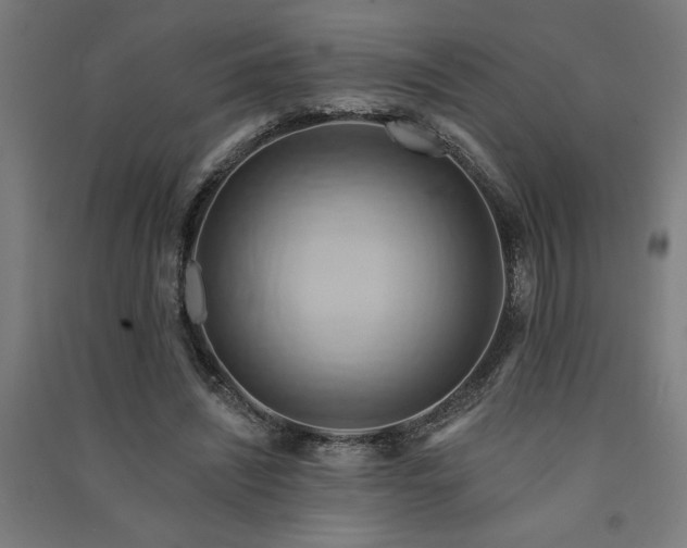X0000091590444200708201233