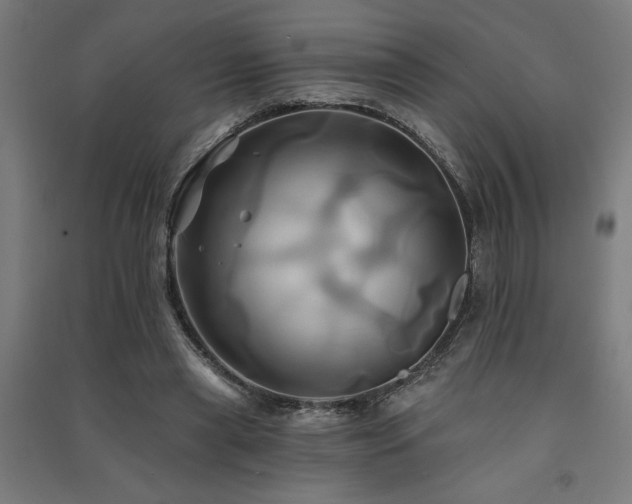 X0000091590445200708201233