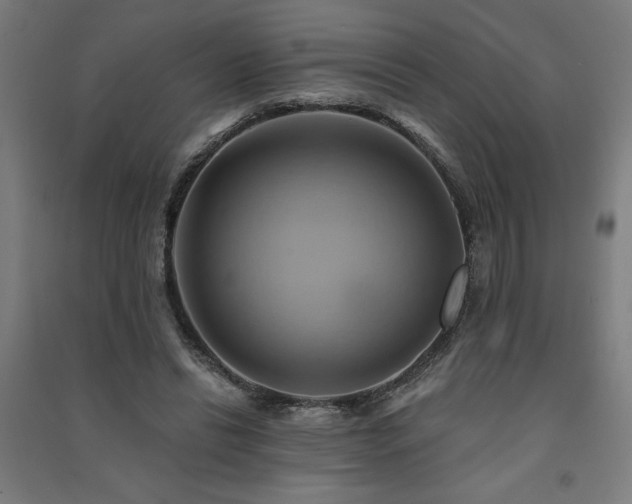 X0000091590446200708201233