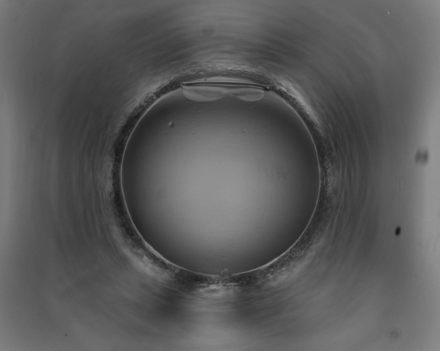 X0000091590447200708201233