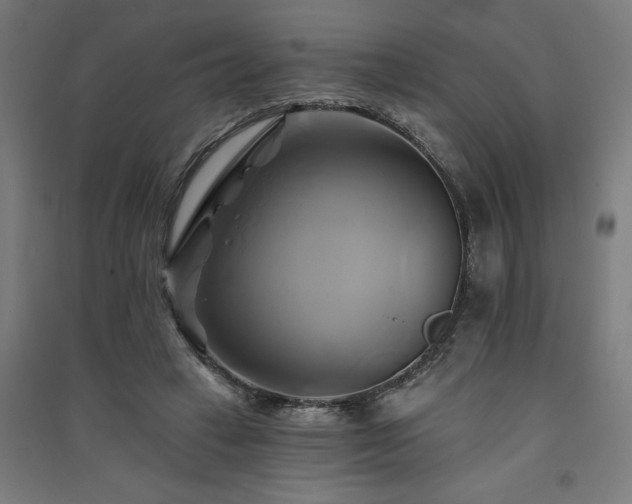 X0000091590449200708201233