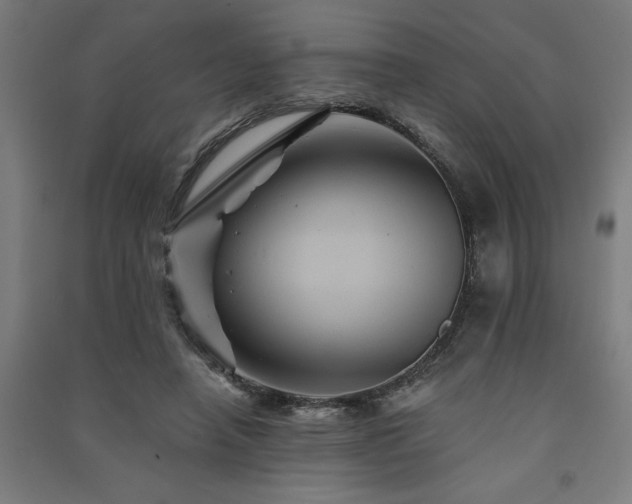 X0000091590450200708201233