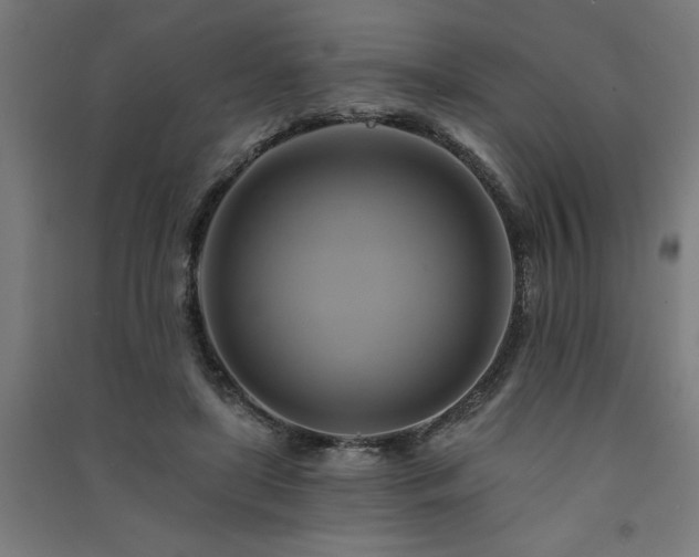 X0000091590451200708201233