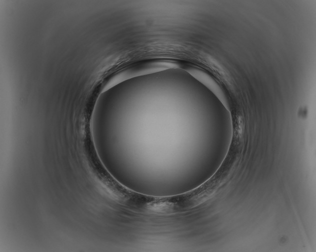 X0000091590452200708201233