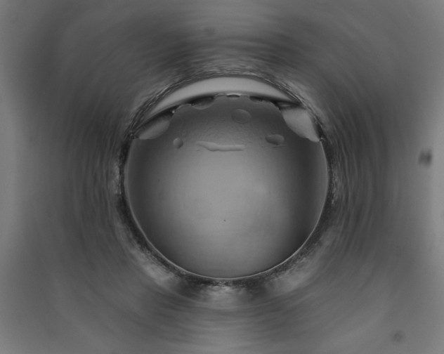 X0000091590453200708201233