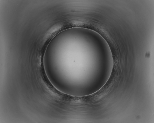 X0000091590454200708201233