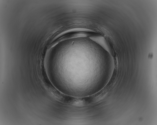 X0000091590456200708201233