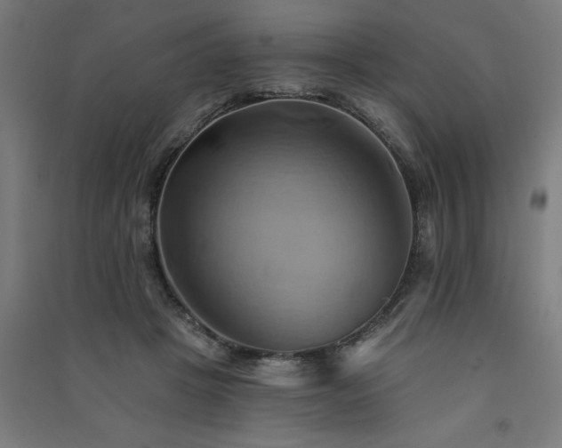 X0000091590457200708201233