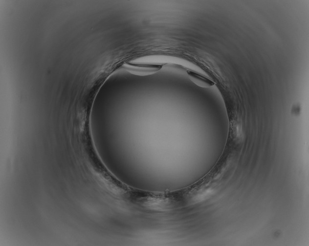 X0000091590458200708201233