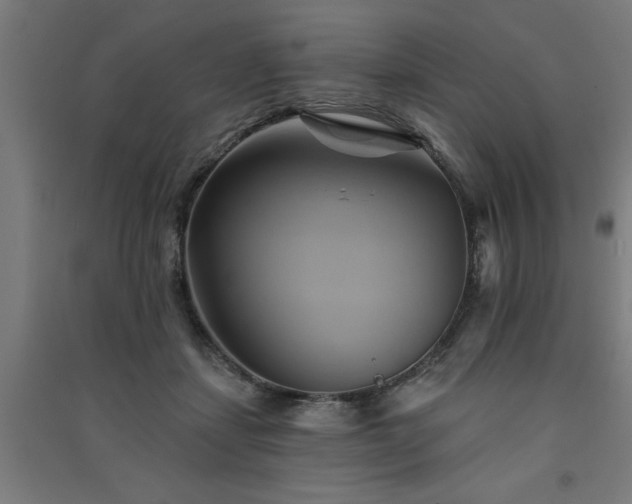 X0000091590459200708201233