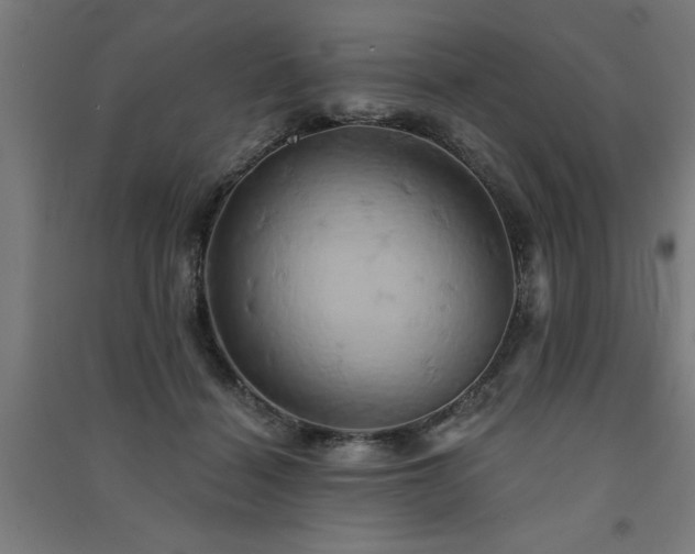X0000091590460200708201233