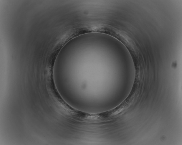 X0000091590461200708201233