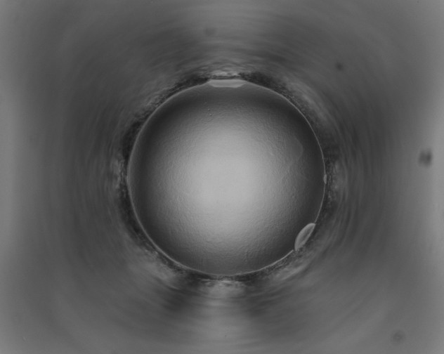 X0000091590463200708201233