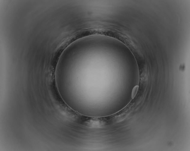X0000091590464200708201233