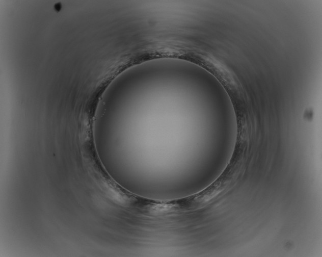 X0000091590465200708201233