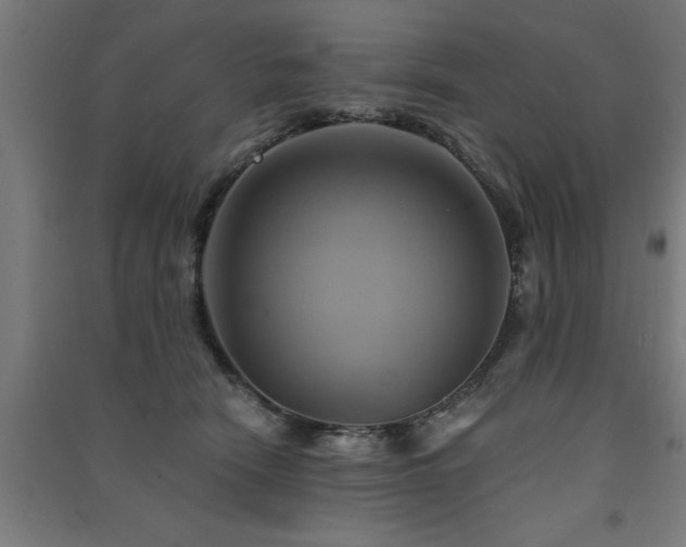 X0000091590466200708201233