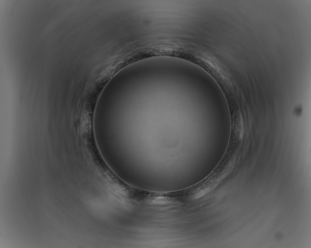 X0000091590467200708201233