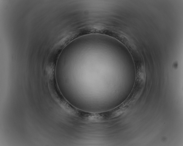 X0000091590468200708201233