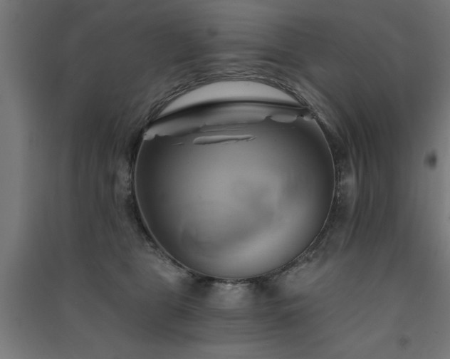X0000091590469200708201233