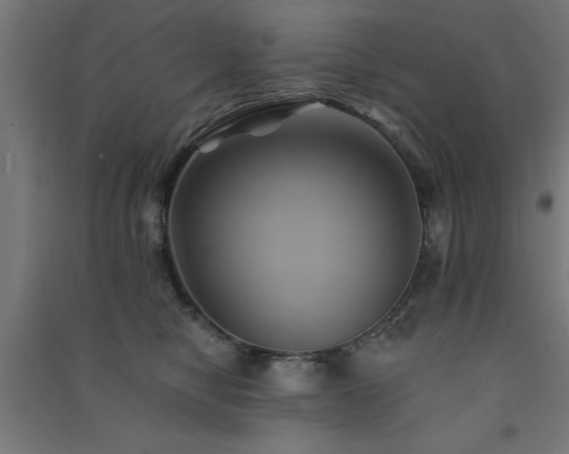 X0000091590470200708201233