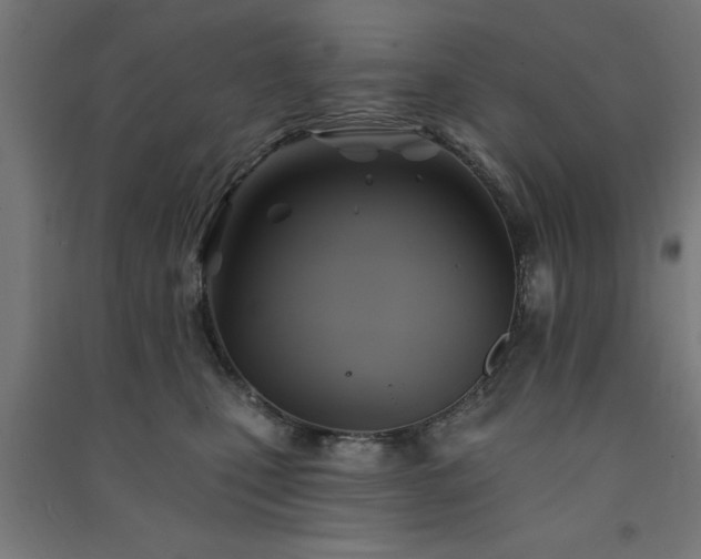 X0000091590471200708201234